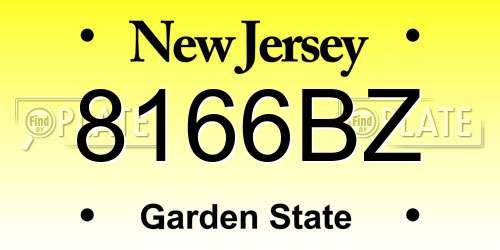 8166BZ New Jersey License Plate