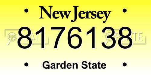 8176138 New Jersey License Plate