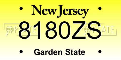 8180ZS New Jersey License Plate