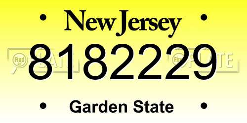 8182229 New Jersey License Plate