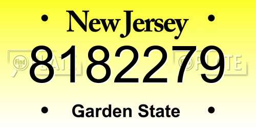 8182279 New Jersey License Plate