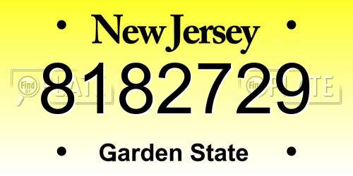 8182729 New Jersey License Plate