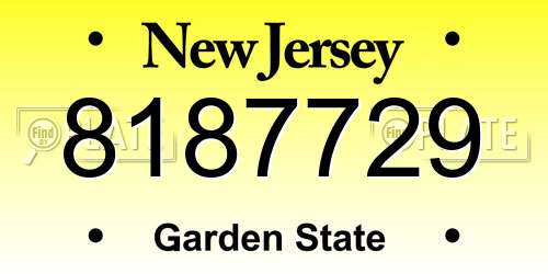 8187729 New Jersey License Plate
