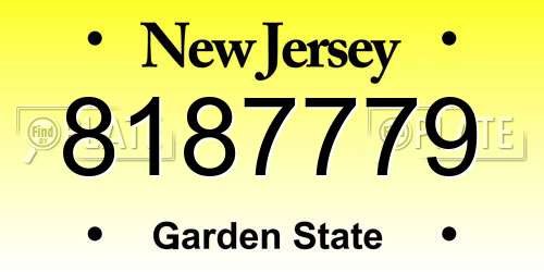 8187779 New Jersey License Plate