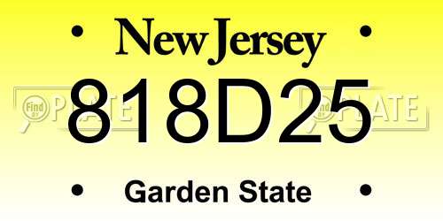 818D25 New Jersey License Plate