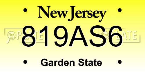 819AS6 New Jersey License Plate