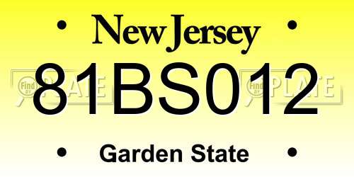 81BS012 New Jersey License Plate