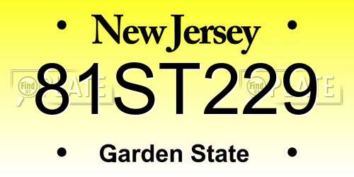 81ST229 New Jersey License Plate