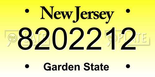 8202212 New Jersey License Plate