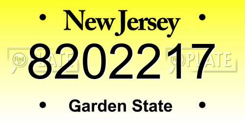 8202217 New Jersey License Plate