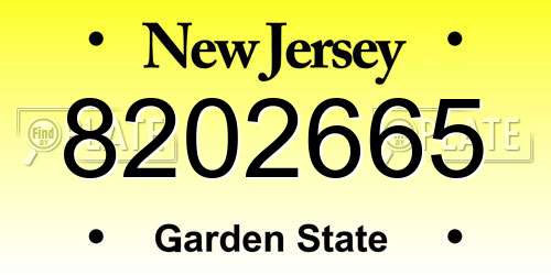 8202665 New Jersey License Plate