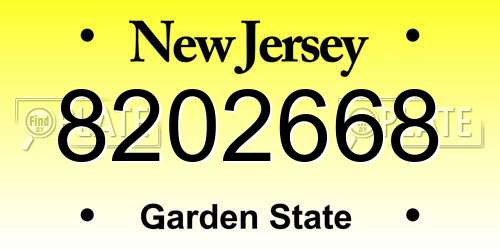 8202668 New Jersey License Plate