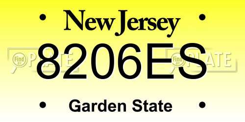 8206ES New Jersey License Plate