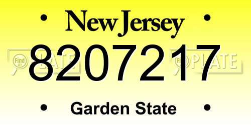 8207217 New Jersey License Plate
