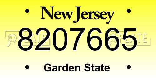 8207665 New Jersey License Plate