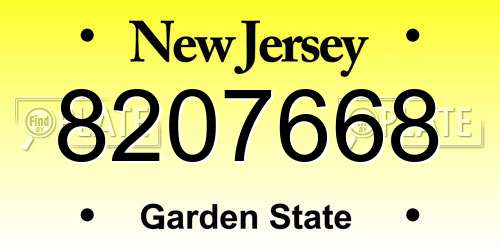8207668 New Jersey License Plate