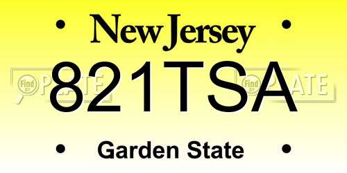 821TSA New Jersey License Plate