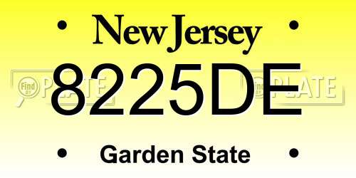 8225DE New Jersey License Plate