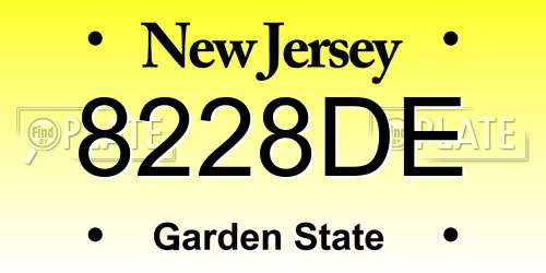 8228DE New Jersey License Plate