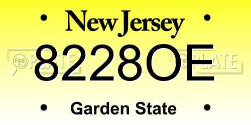 8228OE New Jersey License Plate