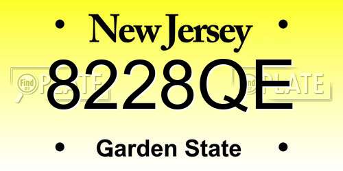 8228QE New Jersey License Plate