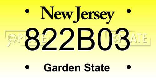 822B03 New Jersey License Plate