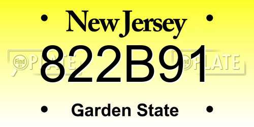 822B91 New Jersey License Plate