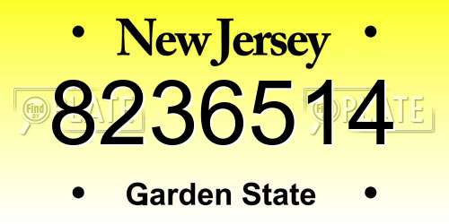 8236514 New Jersey License Plate