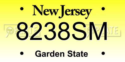 8238SM New Jersey License Plate