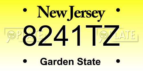 8241TZ New Jersey License Plate