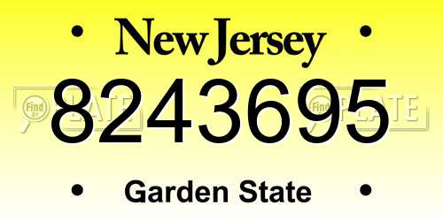 8243695 New Jersey License Plate
