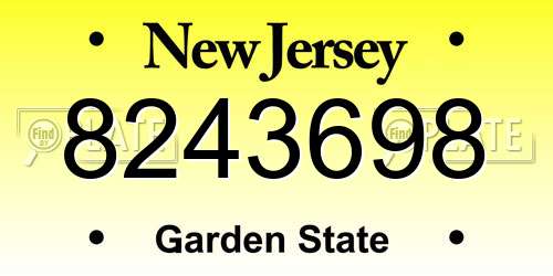 8243698 New Jersey License Plate
