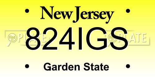 824IGS New Jersey License Plate