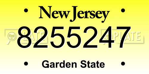 8255247 New Jersey License Plate