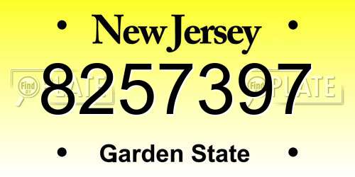 8257397 New Jersey License Plate