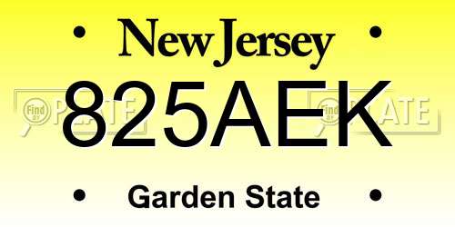 825AEK New Jersey License Plate