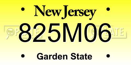 825M06 New Jersey License Plate