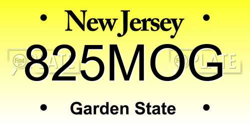825MOG New Jersey License Plate