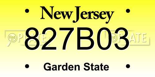 827B03 New Jersey License Plate