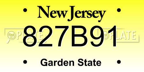 827B91 New Jersey License Plate