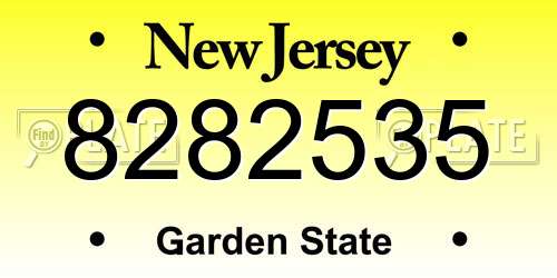 8282535 New Jersey License Plate
