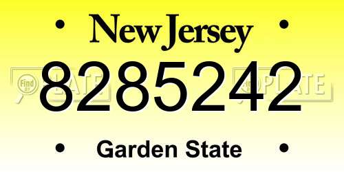 8285242 New Jersey License Plate
