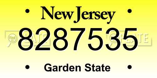 8287535 New Jersey License Plate