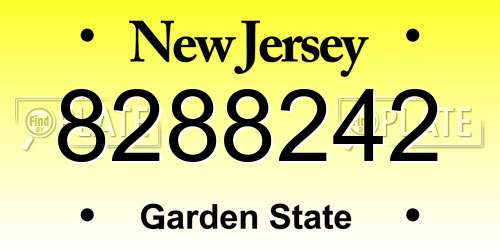8288242 New Jersey License Plate