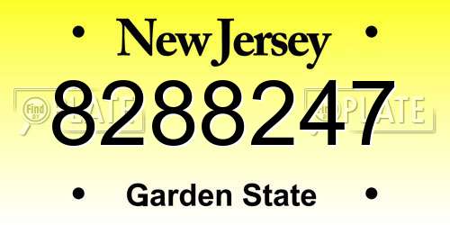 8288247 New Jersey License Plate