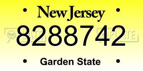 8288742 New Jersey License Plate