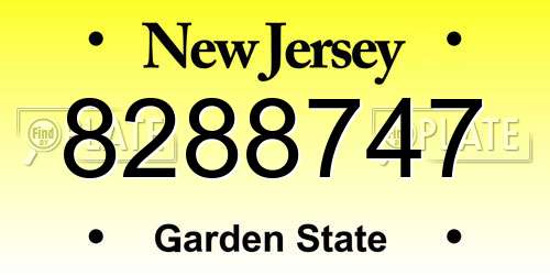8288747 New Jersey License Plate