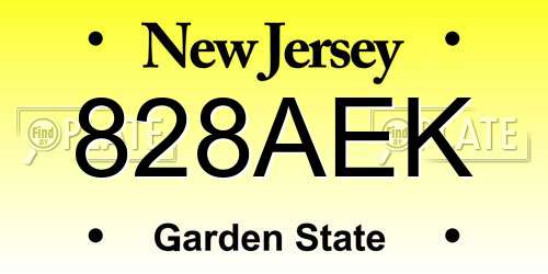 828AEK New Jersey License Plate