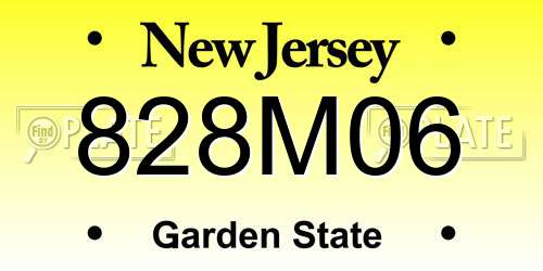 828M06 New Jersey License Plate