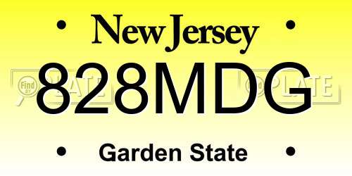 828MDG New Jersey License Plate